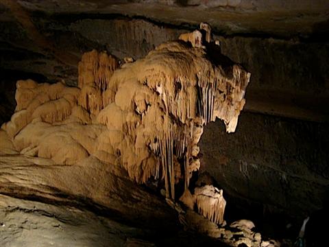 Hoota Cave - Lion Stalagmite